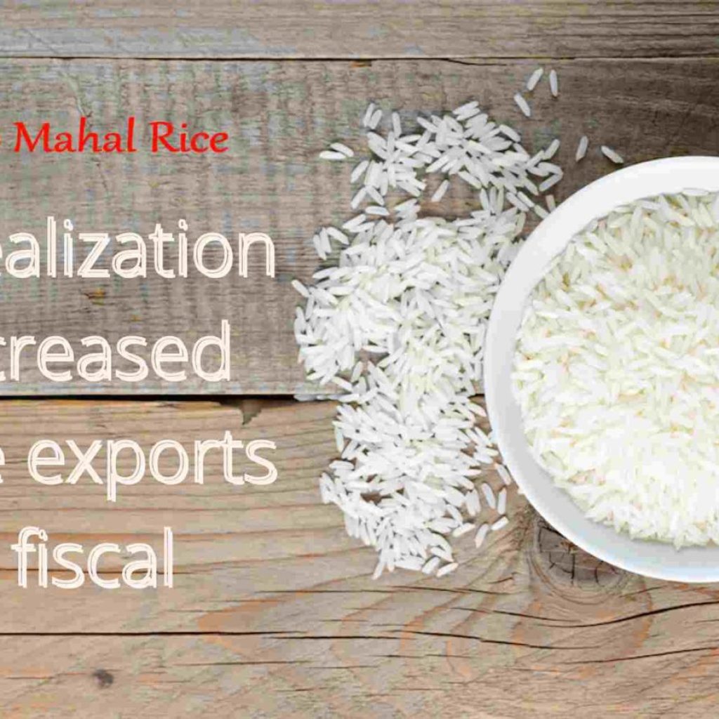 rice export this year fiscal